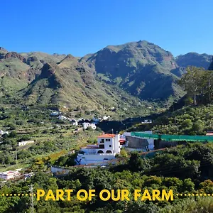 Casa Camino Tamadaba Agaete (Gran Canaria)